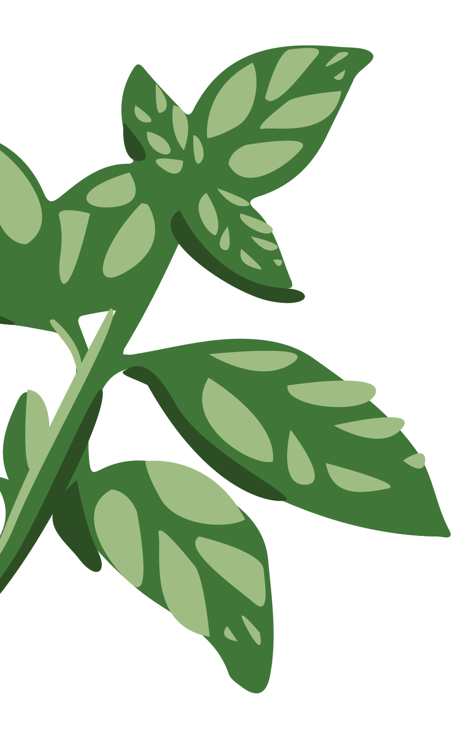 graphic of a basil plant