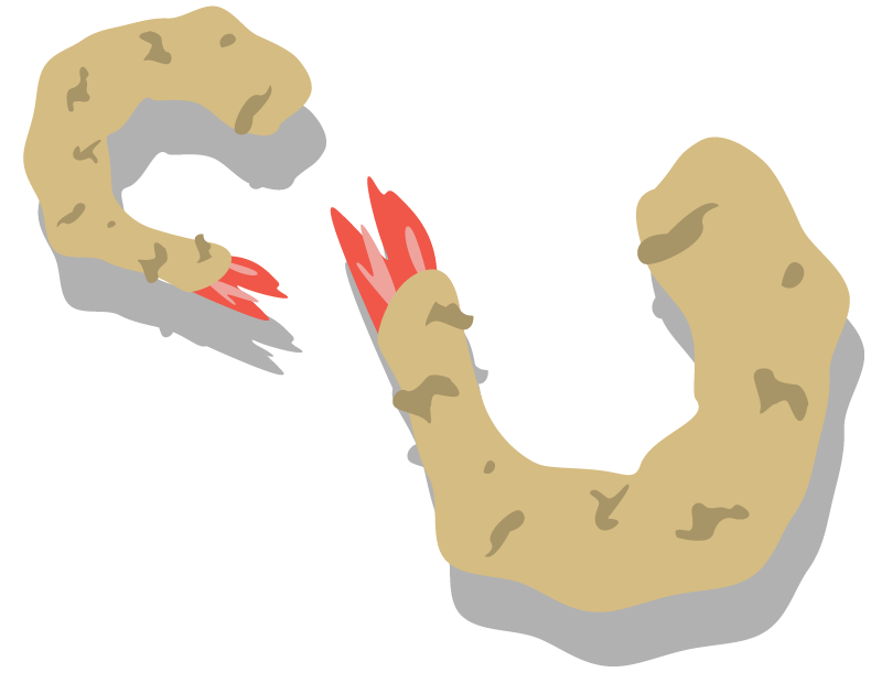 graphic of two fried shrimp